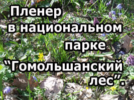 Пленэр в Национальный парк "Гомольшанский лес"
